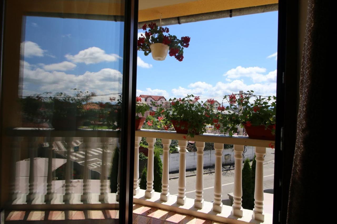 Pensiunea Nelu & Klein Sibiu Exterior foto